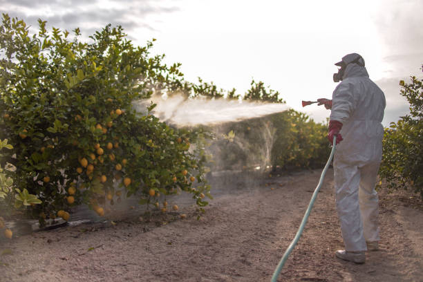 Pest Control Cost in Great Notch, NJ