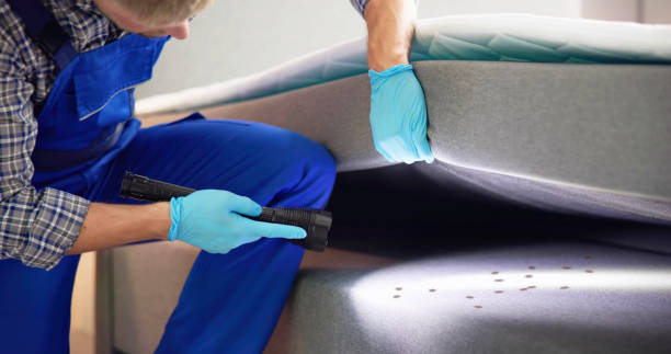 Best Pest Removal Services  in Great Notch, NJ
