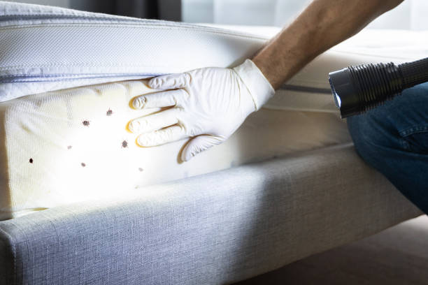 Best Emergency Pest Control  in Great Notch, NJ