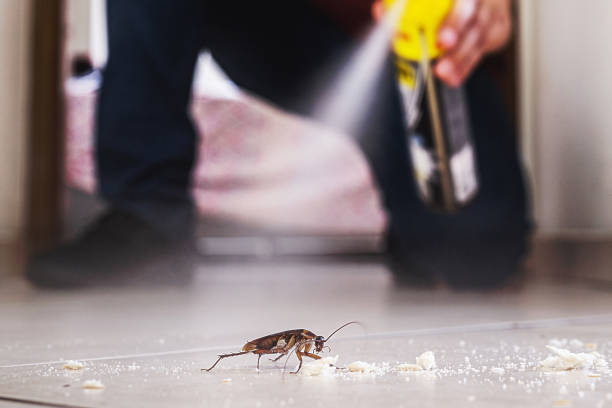 Best Best Pest Control Companies  in Great Notch, NJ