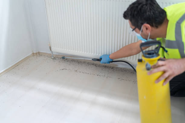 Reliable Great Notch, NJ Pest Control Solutions